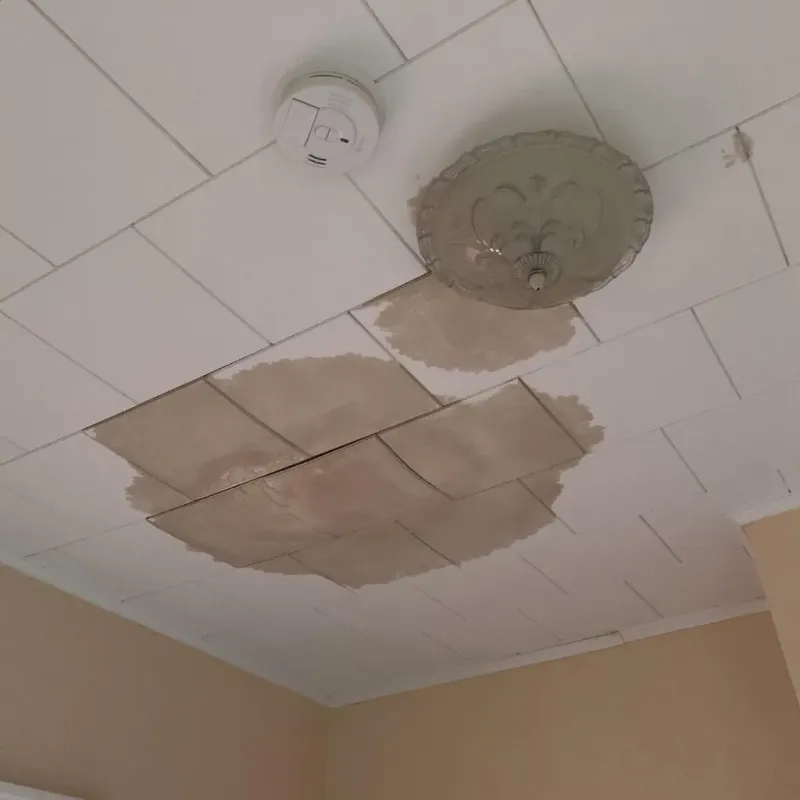 Ceiling Water Damage Repair in Evergreen, AL