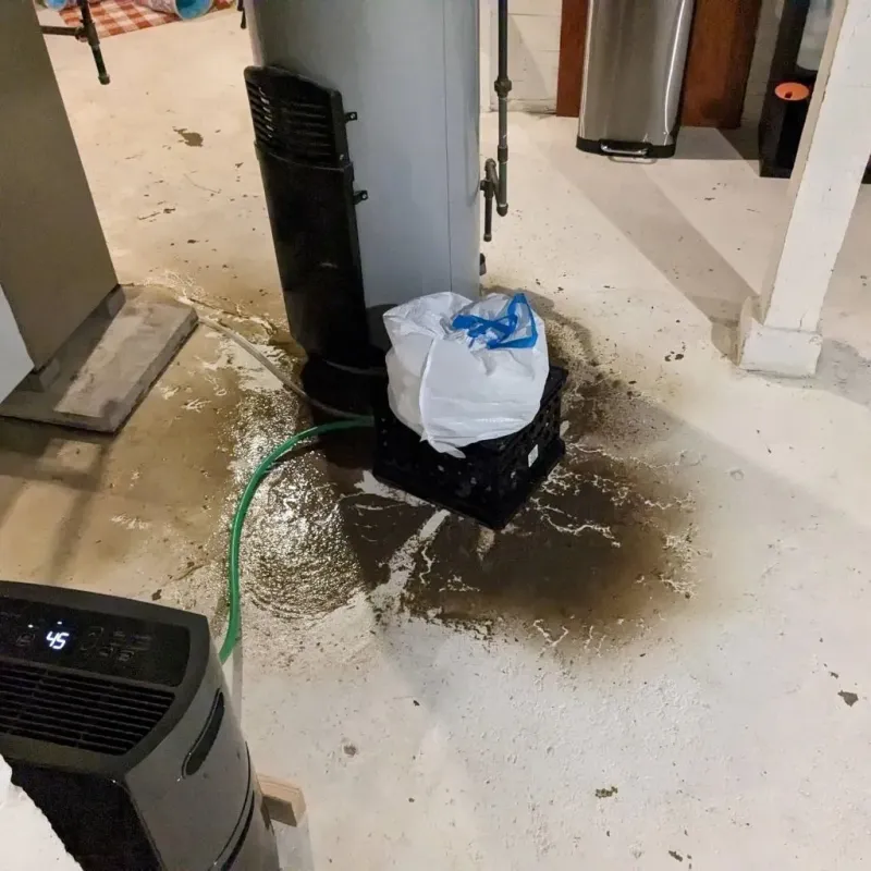 Sewage Backup Cleanup Service in Evergreen, AL